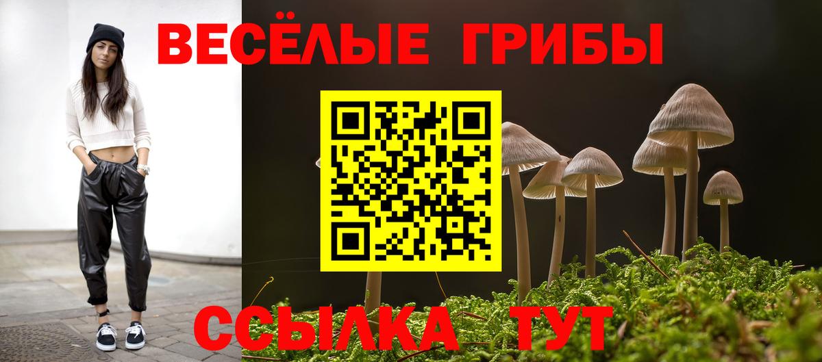 Галлюциногенные грибы Psilocybe  Вход с VPN  Выборг 